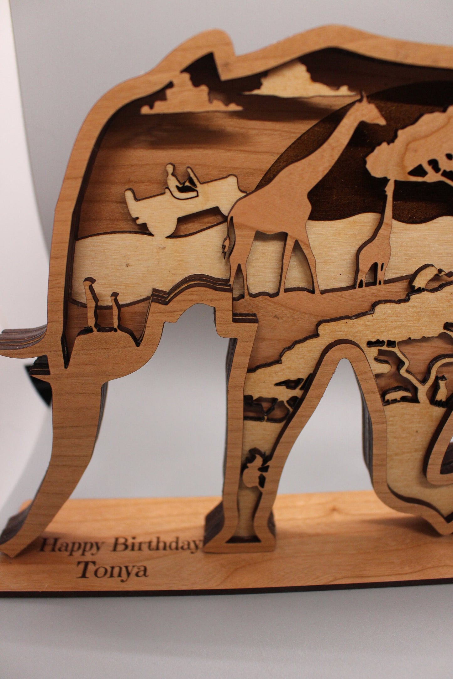 African Elephant mandala art